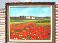 CAMPO DE AMAPOLAS
