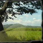 paisaje en la via thumbnail 1
