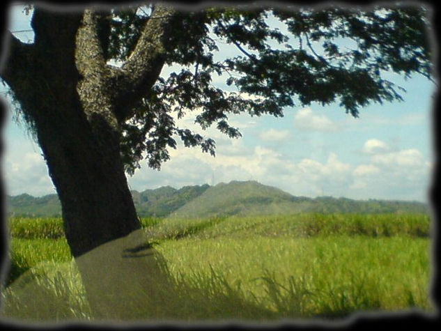 A traves de la ventana 