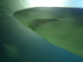 TIBURON