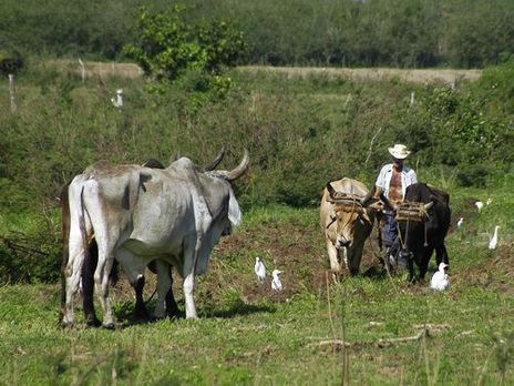 Cambio de guardia