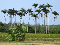 Ofrendas