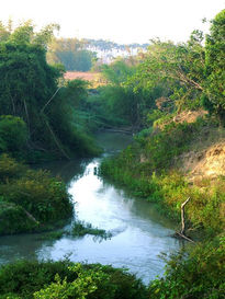 Río amanecer