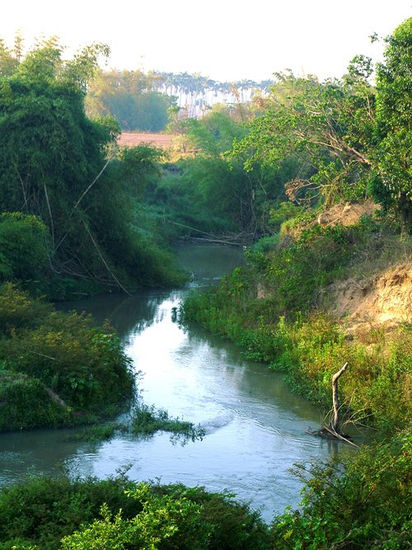 Río amanecer Nature Color (Digital)