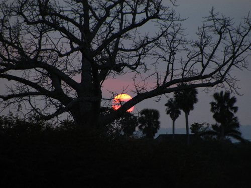Sagrado ocaso
