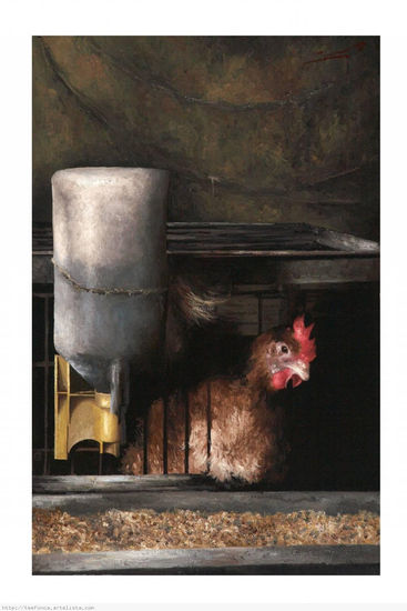 una gallina desesperada Oil Canvas Animals