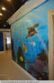 Murales