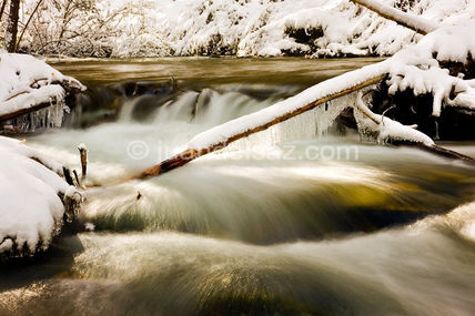 Peine de hielo