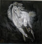 caballo