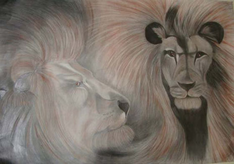 Leones