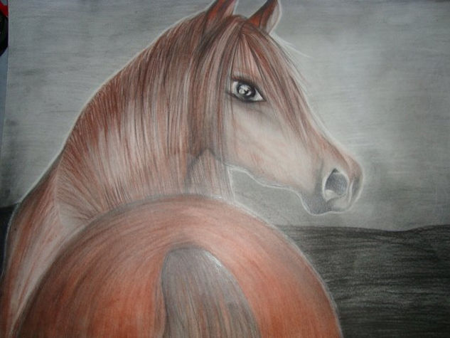 caballo Charcoal