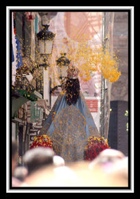 Lluvia de flores