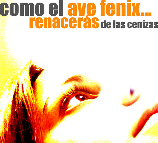 ave fenix 