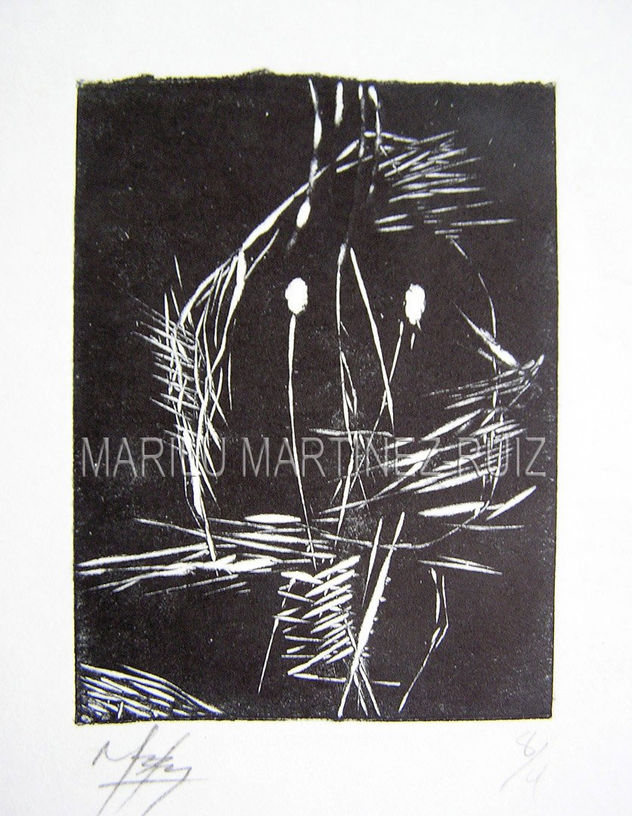 CARAS ENTRISTECIDAS I (MARILU MARTINEZ-RUIZ)