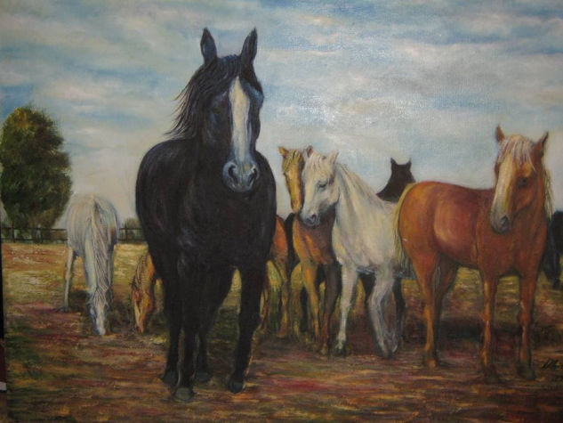 caballos Oil Canvas Animals