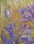 Crocuses Sirocco