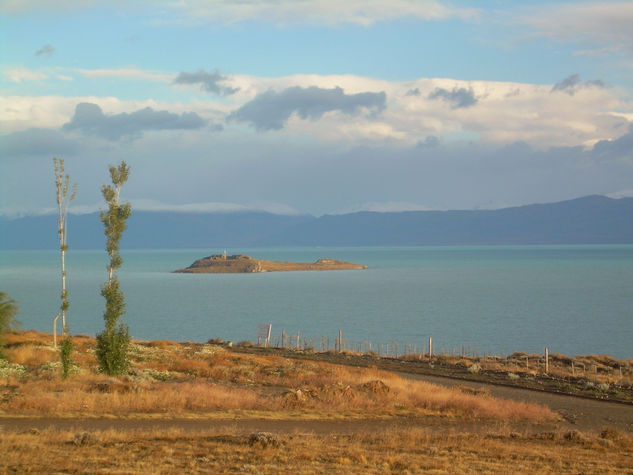 Calafate-Argentina Nature Color (Digital)