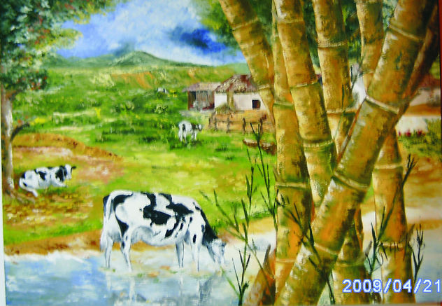 el campo