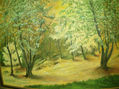 paisaje