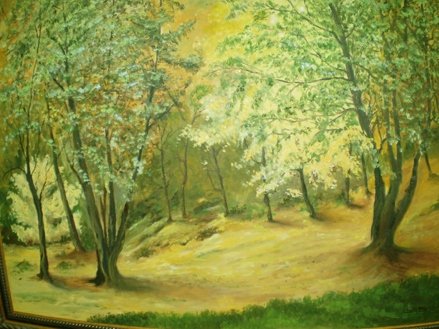 paisaje