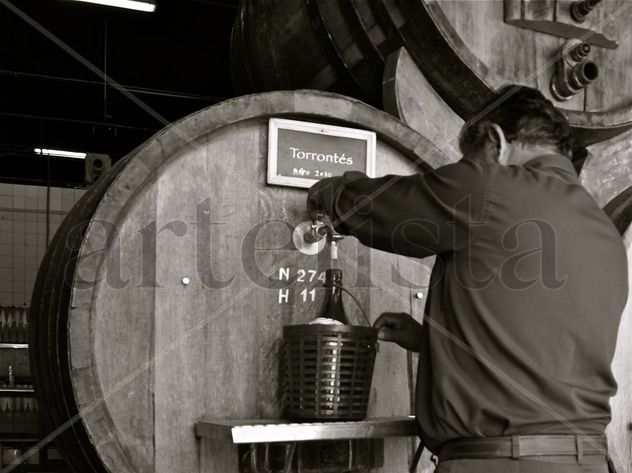 ‟Bodegas Norton"