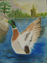 A VOLAR PATOS