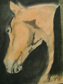 Caballo bayo de noche