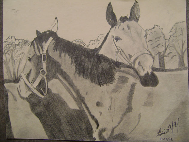 CABALLOS AMIGOS