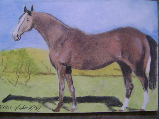 CABALLO EN SUSPENSO