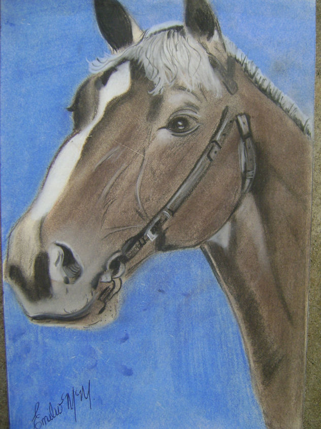 CABALLO EN ESPERA