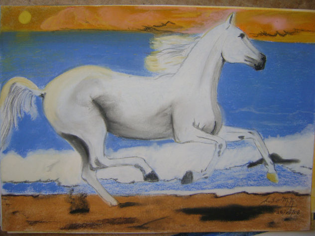 CABALLO EN LA PLAYA