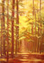 Bosque de pinos