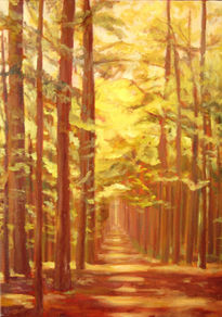 Bosque de pinos