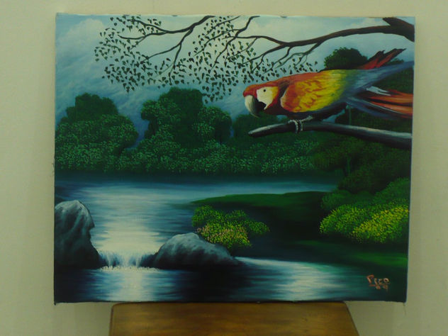 LA LAPA DE COSTA RICA