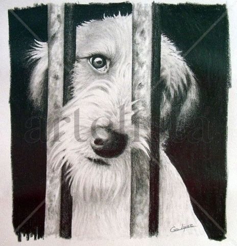 No me abandones !!