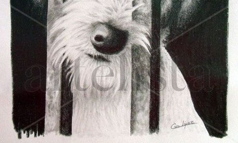 Animales