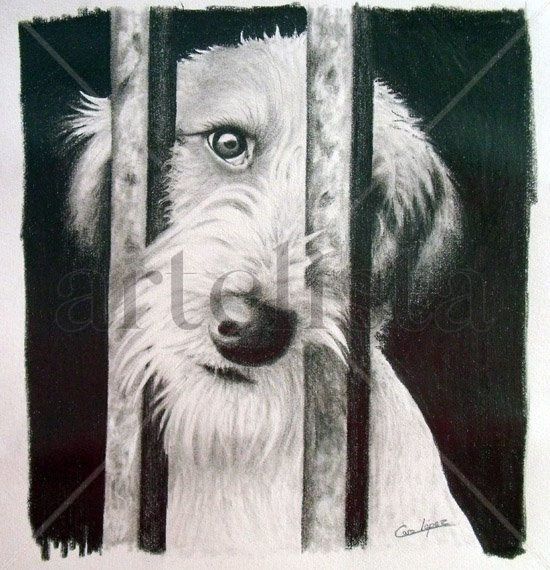 No me abandones !!