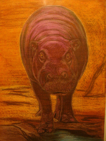 Hipopótamo pigmeo