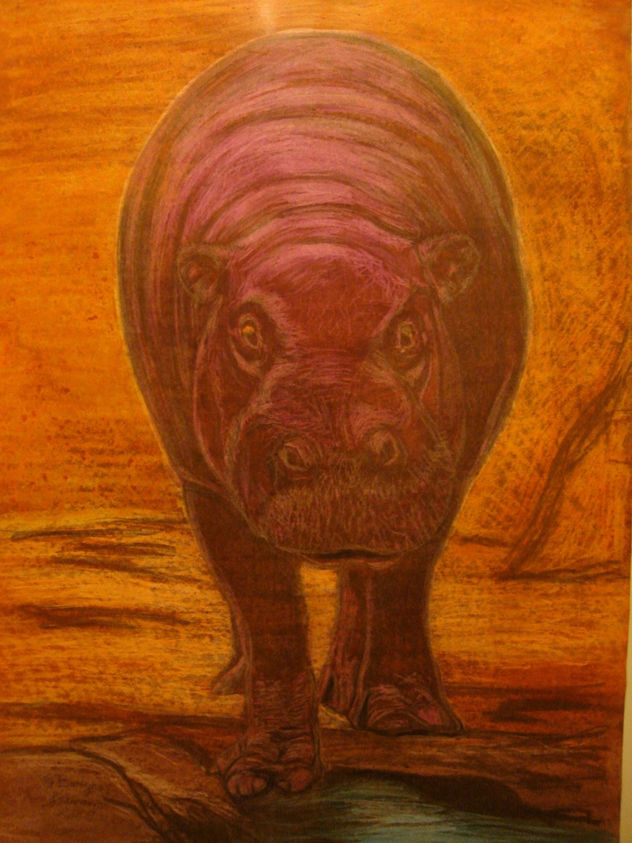 Hipopótamo pigmeo