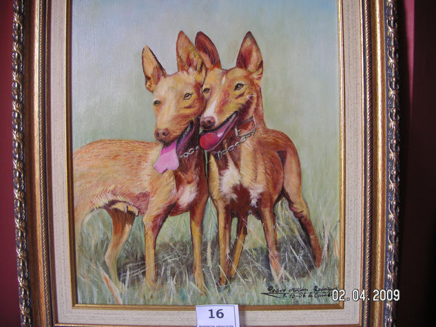 PODENCOS ANDALUCES Oil Canvas Animals