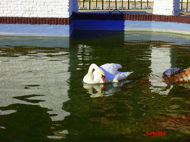 Málaga Jardines de Puerta Oscura Nature Color (Digital)