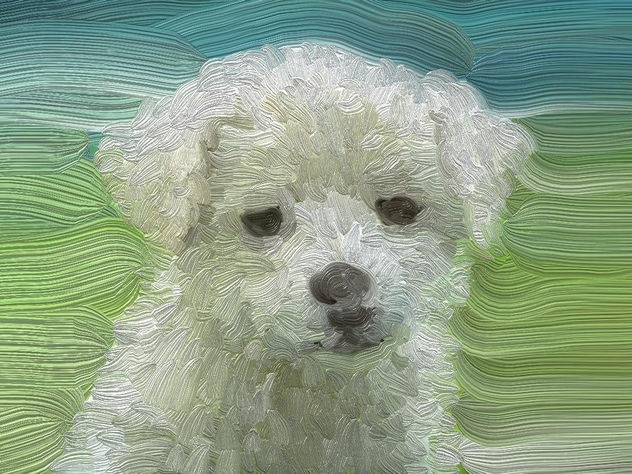 doggy