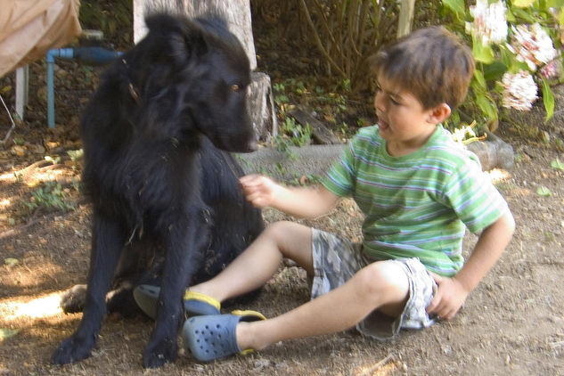 El niño y  el perro 