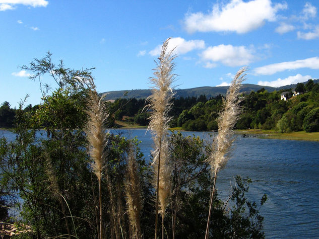 El encanto del lago 