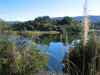 Lago lanalhue