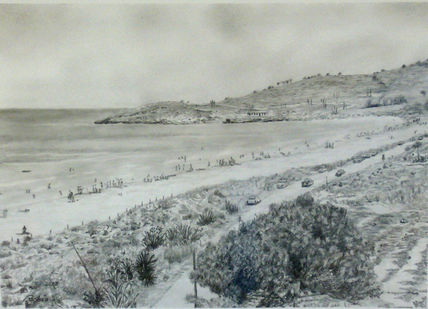 Playa del...