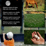 COLLAGES thumbnail 1