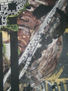 autorretrato