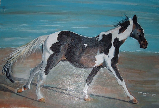 cavallo2 Acrylic Canvas Animals