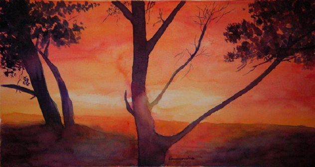 ARBOLES EN UN ATARDECER